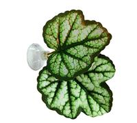 Betta Fish Resting Leaf - Aquarium Leaf Hammock | PP Material Suction Cup Fishs Bed | Realistic Fan Double Green Purple Fighting Fish Leafs Pad Decoration Habitat Relaxation Play Accessory