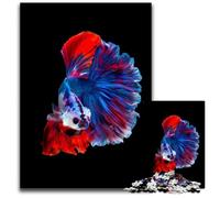 Betta Fish Siamese Koi VI 1000 Piece Jigsaw Puzzles for Adults Puzzles for Adults for Travel Lovers & Couples Challenging Toy 1000 PCS(38x26cm)