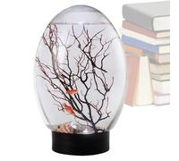 Betta Fish | Small Fish Tank with LED Light | Portable Desktop Landscape, Funny Aquaponics Template for Home, Studio, Hotel