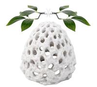 Betta Fish Tank Accessories,2 Pack Betta Fish Leaf Pad Hammock Aquarium Decorations Betta Leaf with Suction Cup Plants Fish TankDecor,Multi-Hole Shrimp Dome Hide with Suction Cup Coral Design FishToys