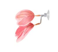Betta Fish Tank Accessories, Suction Cup Interactive Leaf Bed, Betta Hammock Aquarium Accessories for Resting, Playing, Breeding, Spawning, Shrimp, Guppy, Cichlid