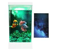 Betta Fish Tank - Desktop Starter Aquarium Kit with Built In Filter and LED Lighting for Healthy Fish Care and Clear Viewing | Small Tabletop Landscape Decoration for Study Room Workplace Apartment Ho