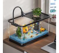 Betta Fish Tank, Fish Tank With Filter And Light, Desktop Room Decor W/LED Light, 360 View For Small Fish, Kids Room & Home Decor(Xl)