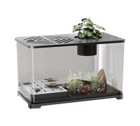 Betta Fish Tank Large Aquarium Gold Fish Tank Starter Kit