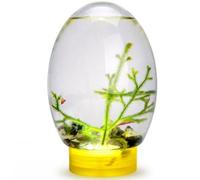 Betta Fish Tank, Self Sustaining Ecosystem, 7.1x4.7x4.7 Inch Transparent Plastic Small Fish Tank with LED Light, Small Aquarium with Seashell and Tree Decor for Home Office Desktop