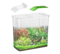 Betta Fish Tank,Transparent Terrarium Pet Supplies | Aquatic Turtle Tanks and Aquariums,for Reptiles Amphibians Feeding Basking Tortoise Crayfish Hermit Crabs Frog