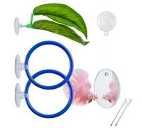 Betta Fish Toy Set,Betta training Floating Mirror, training/feeding ring, spoon, and resting leaf. Promotes exercise. Betta Toys, Resting & Feeding Kit.