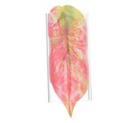 Betta Fish Tunnel Hideout Spawning Bed for Aquarium Acrylic | Acrylic Tunnel, Shrimp and Fish Use, Decorative Plant Leaf Design, Easy to Clean, Natural Look