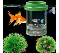 Betta Guppy Breeding Box for Fish Tank (Green, M)