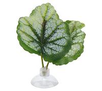 Betta Leaf Hammock Green Aquarium Ornamental Betta Resting Bed | Let your betta fish rest near the surface with this simulation leaf hammock. Easy to install using suction cup