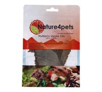 Betta Nature4Pets Mulberry Leaves Pack Of 10 Natural Green Treats For Small Pets