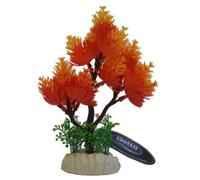 Betta Orange Tree Aquarium Plant - 6 Inch