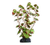 Betta Realistic Silk Artificial Aquarium Plants ~ 30cm Silk Red-Edged Hydrocotle