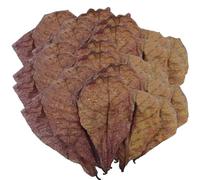 Betta Shrimp Leaves - Almond Shrimp Leaves, Betta Fish Leaves | Natural Betta Leaves For Aquarium, Organic Balm Betta Leaves, Dried Betta Leaves For Shrimp