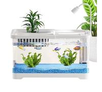 Betta Tank - Desktop Betta Shrimp Aquarium, Decorative Fish Bowl Landscape | Home Decor for Dorm Apartment Bedroom Table, Pet Lovers Beginners, Guppy Shrimp Mini Fish Habitat Display