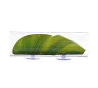 Betta Tunnel Cave - Transparent Acrylic Tube Decoration, Smooth Safe Design Improving Comfort, Leaf Pad Rest Bed Enhancing Activity | Creativee Fish Tank Accessory, Spawning Use for Home Aquariums