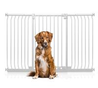 Bettacare Extra Tall Elite Dog Gate, 161cm - 170cm, Matt White, Extra Tall 100cm in Height, Pressure Fit Pet Gate for Dog and Puppy, Pet and Dog Barrier, Easy Installation