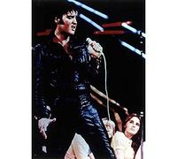 Better Selection 5D DIY Diamond Art, Elvis The King Rock Singer Diamond Art Kits for Adults Full Drill Round Diamond Gem Art Beads Painting for Kids Perfect for Home Wall Décor 11.8x15.7 inches