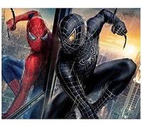 Better Selection DIY 5D Diamond Art by Number Kit, The Crystal Rhinestone Embroidery Cross Stitch Arts Craft Canvas Wall Decor (Venom Man) 12X16Inch