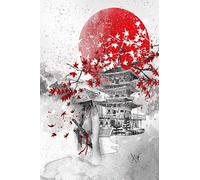 Better Selection DIY 5D Diamond Art Japanese Dance Diamond Art Full Drill, 45x65cm