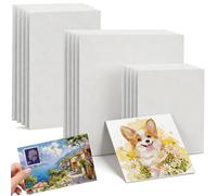BetterJonny 15 Pcs Three Sizes Small Canvases for Painting, 10x10cm 10x15cm 15x15cm Mini Canvas Boards, Blank Miniature Canvas Panels for Acrylic Painting & Oil Paint, Hobby Painters and Beginner