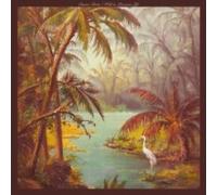 Duane Betts – Wild & Precious Life – Vinyl – The Orchard