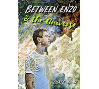 Between Enzo and the Universe