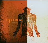 Between The Buried & Me - The Anatomy Of