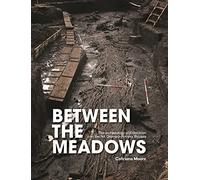 Between the Meadows: The archaeology of Edercloon on the N4 Dromod-Roosky Bypass: 11 (TII Heritage)