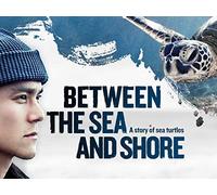 Between the Sea and Shore