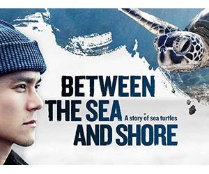 Between the Sea and Shore