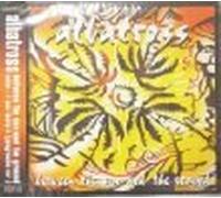 between the sun and the ground