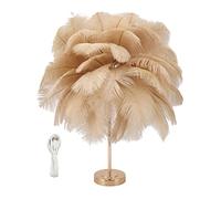 Beufee Feather Table Lamp, Ostrich Feather Lamp 3 Color Modern Feather Lamp Touch Bedside Lamp Decorative Bedside Light with USB Plug for Bedroom (Camel)