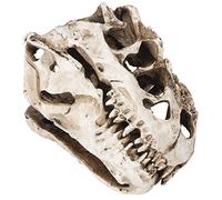 Beufee Skull, Resin Dinosaur Crafts Teaching Skeleton Model Fish Tank Aquarium Terrarium Decoration Collection Craft Decor