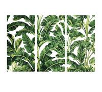 BEUNITONE 3 Sheet Leaf Rub on Transfers for Furniture 11.8 x 5.9 Inch Vivid Green Tropical Palm Leaf Waterproof Rub on Transfers Sticker Decals Decorations for Wood Door Home Paper DIY Craft