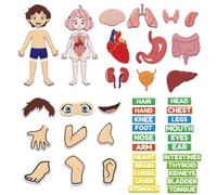 BEUNITONE Body Parts Learning Felt Story Board 48 Pcs Preschool Human Organ Name Words Educational Teaching Felt Story Board Set Wall Activity for Birthday Christmas Toddlers Gifts