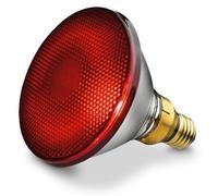 Infra Red Bulb 150 W IT 21 30