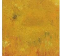 Bevel - Where Leaves Block the Sun