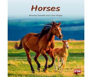 Beverley Randell HORSES Paperback Book Beverley Randell Multicolor