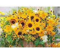 BEVERLY 1000-026 Beverly 1000-Piece Jigsaw Puzzle Attracts Good Luck Positive Flower (19.3 x 28.3 inches (49 x 72 cm)