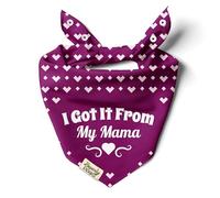 BeverlyPaws Funny Snap-On Dog Bandana for Small Medium Large Pets, Dogs Cats Adjustable Handkerchief Scarf for Girl & Boy, Cute Puppy Apparel & Accessories (Got It from My Mama, Small)