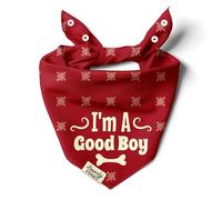 BeverlyPaws Funny Snap-On Dog Bandana for Small Medium Large Pets, Dogs Cats Adjustable Handkerchief Scarf for Girl & Boy, Cute Puppy Apparel & Accessories (I'm A Good Boy, Small)