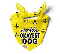 BeverlyPaws Funny Snap-On Dog Bandana for Small Medium Large Pets, Dogs Cats Adjustable Handkerchief Scarf for Girl & Boy, Cute Puppy Apparel & Accessories (World's Okayest Dog, Large)