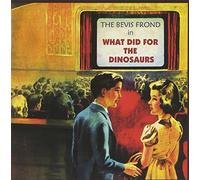 Bevis Frond - What Did For The Dinosaurs