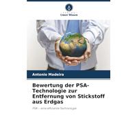 Bewertung der PSA-Technologie zur Entfernung von Stickstoff aus Erdgas: PSA - eine effiziente Technologie