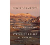 Bewilderments: Reflections on the Book of Numbers