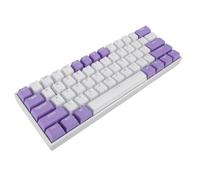 Bewinner 61 Key Mechanical Gaming Keyboard, 60% Layout with Blue Switch, RGB Backlit, USB C Wired for PC, Laptop