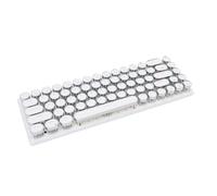 Bewinner 68 Keys RGB Gaming Keyboard, Wired Compact Mechanical Feel Keyboard with RGB LED Backlight and Adjustable Feet, for OS X (White Color Blue Switch)