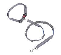 Bewinner Anti Pull Lock Buckle Nylon Dog Leash With Enhanced Safety Features, Stretch Leash for Dog Walking (Grayish Blue)