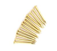 Bewinner Brass Round Head Nails for Furniture Hinge Hardware, 100 Pack
